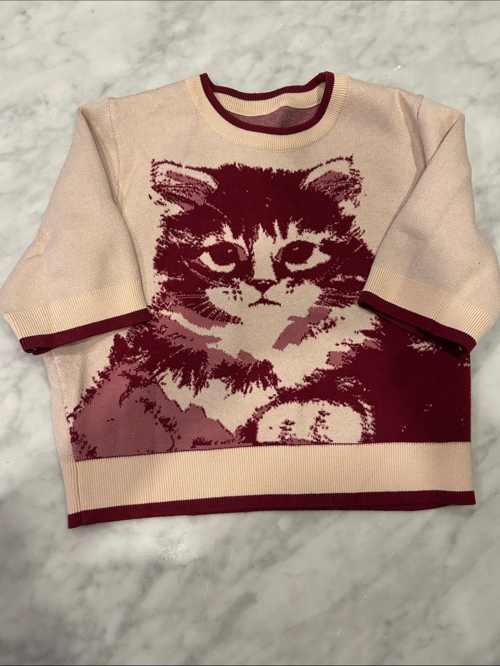 Super Cute Cream and Burgundy Cat Knit Cropped Sweater